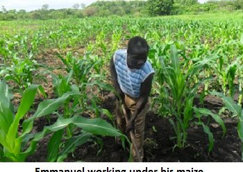 Yei farmers face many challenges