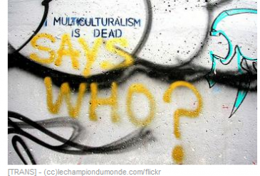 MDI’s latest blog: The Attack on Multiculturalism